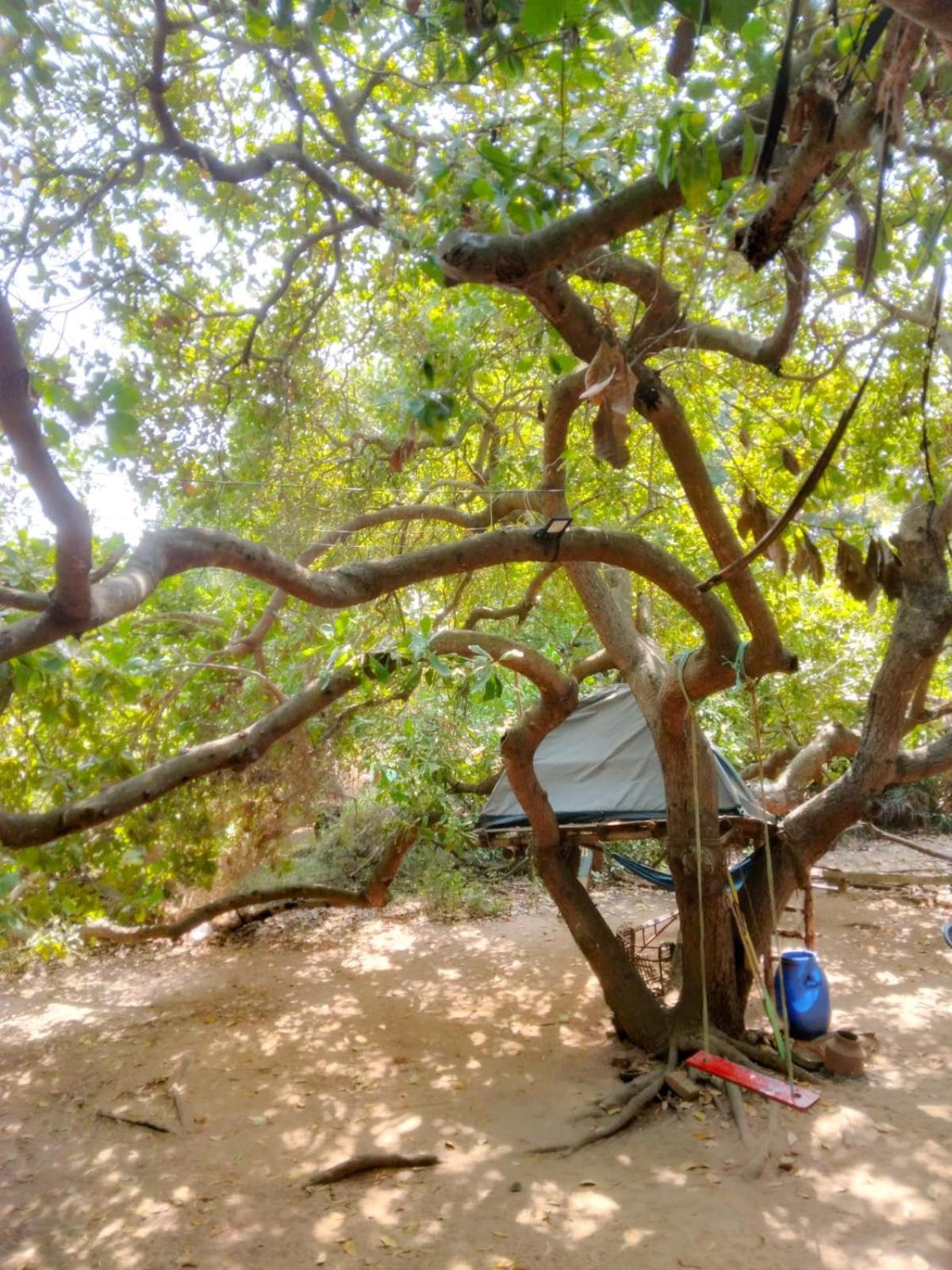 Peace Garden Inn Auroville Ngoại thất bức ảnh